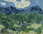 Vincent Van Gogh The Olive Trees painting
